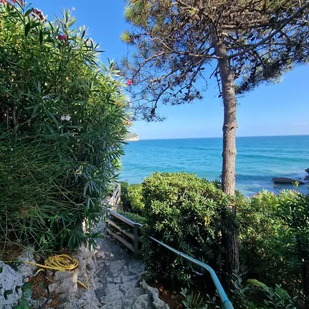 Chiaror Di Mare *